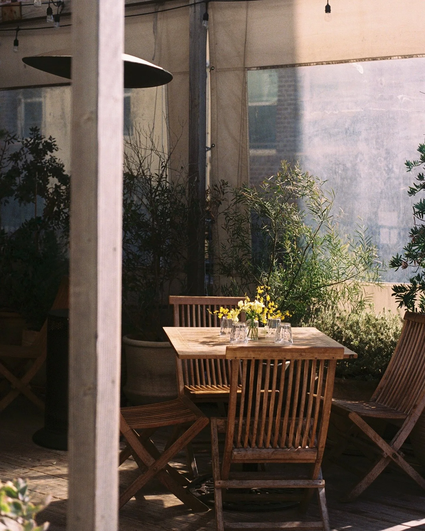 THANKSGIVING HOURS:
8am - 1:30PM

happy holiday xx