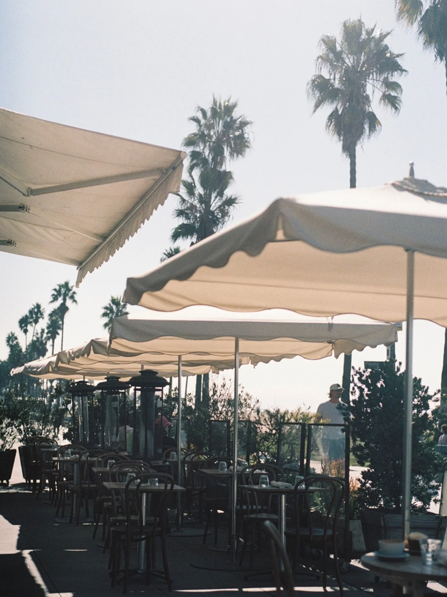 sunshine is calling all week ☀️