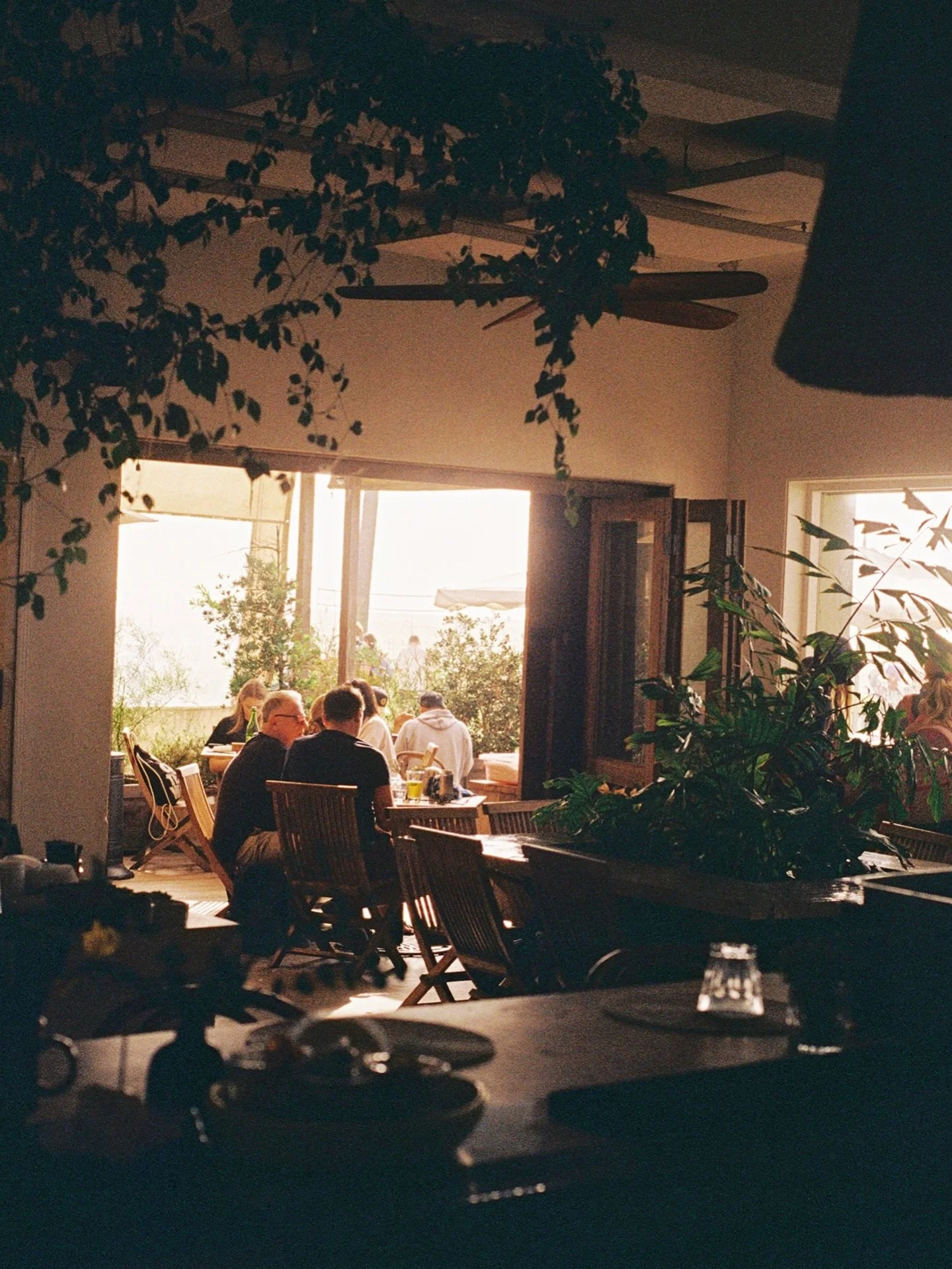 quiet starts to the week 🌿