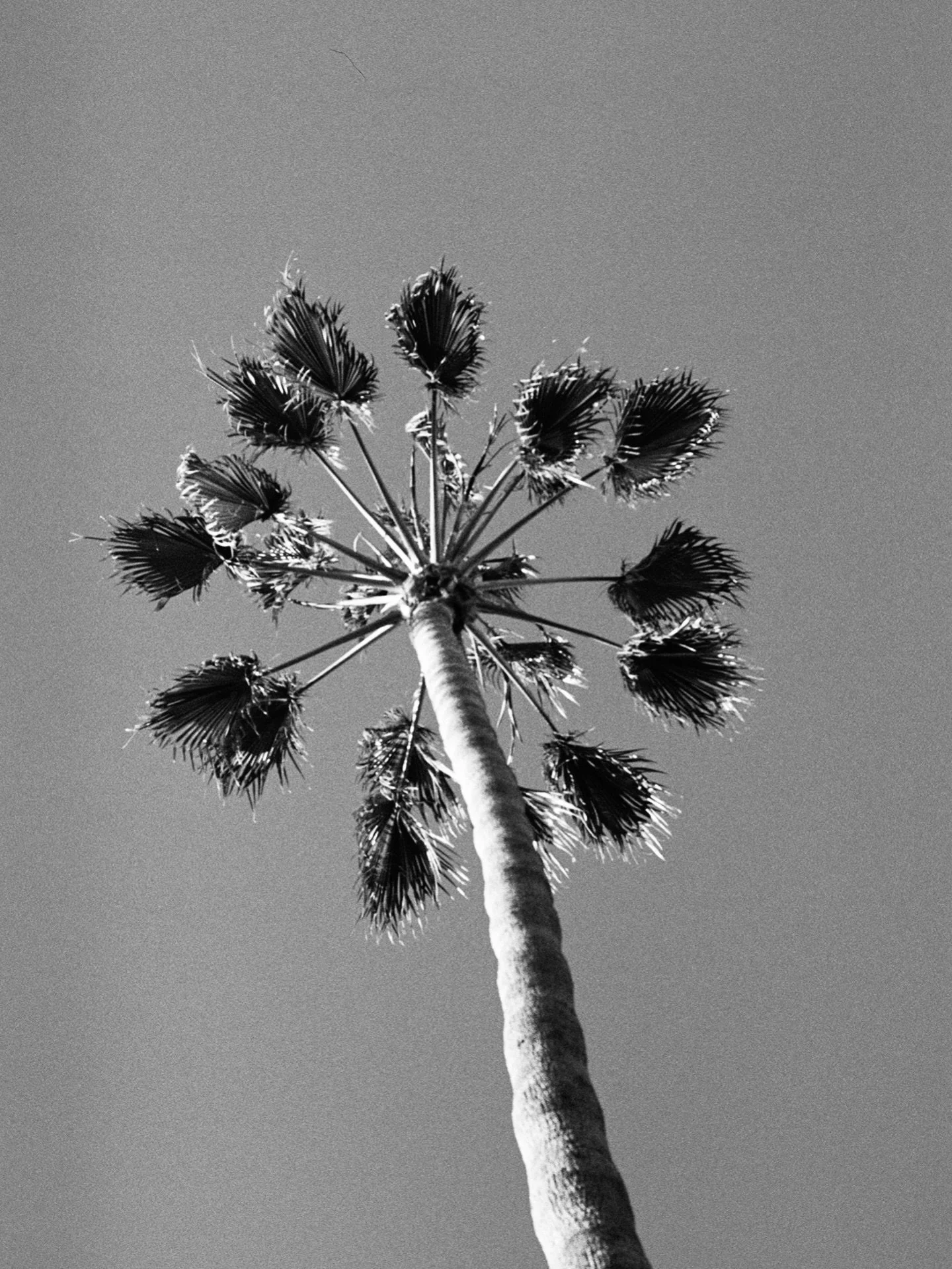 weekend postcard 🌴