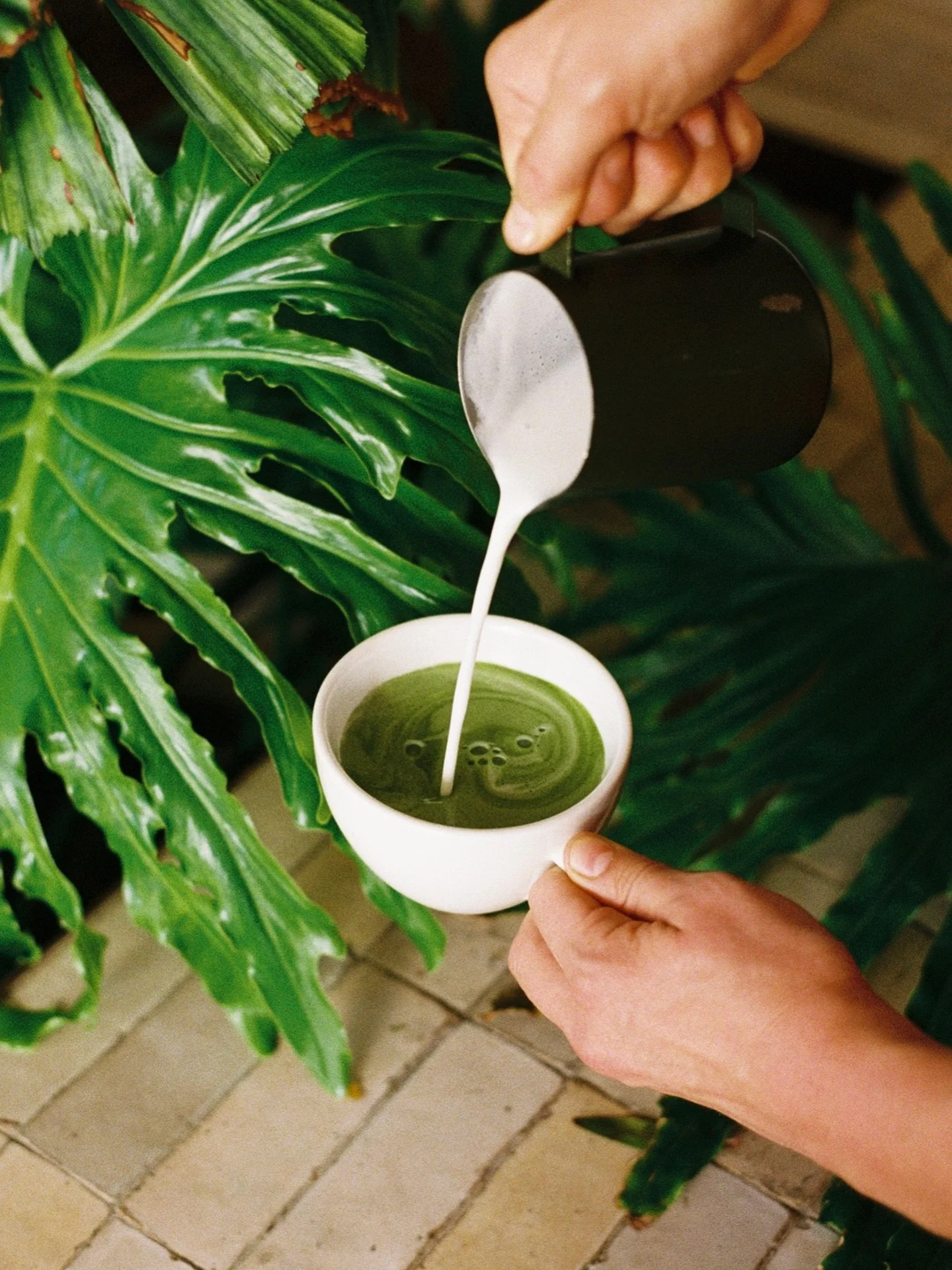 Current mood: matcha 🍵