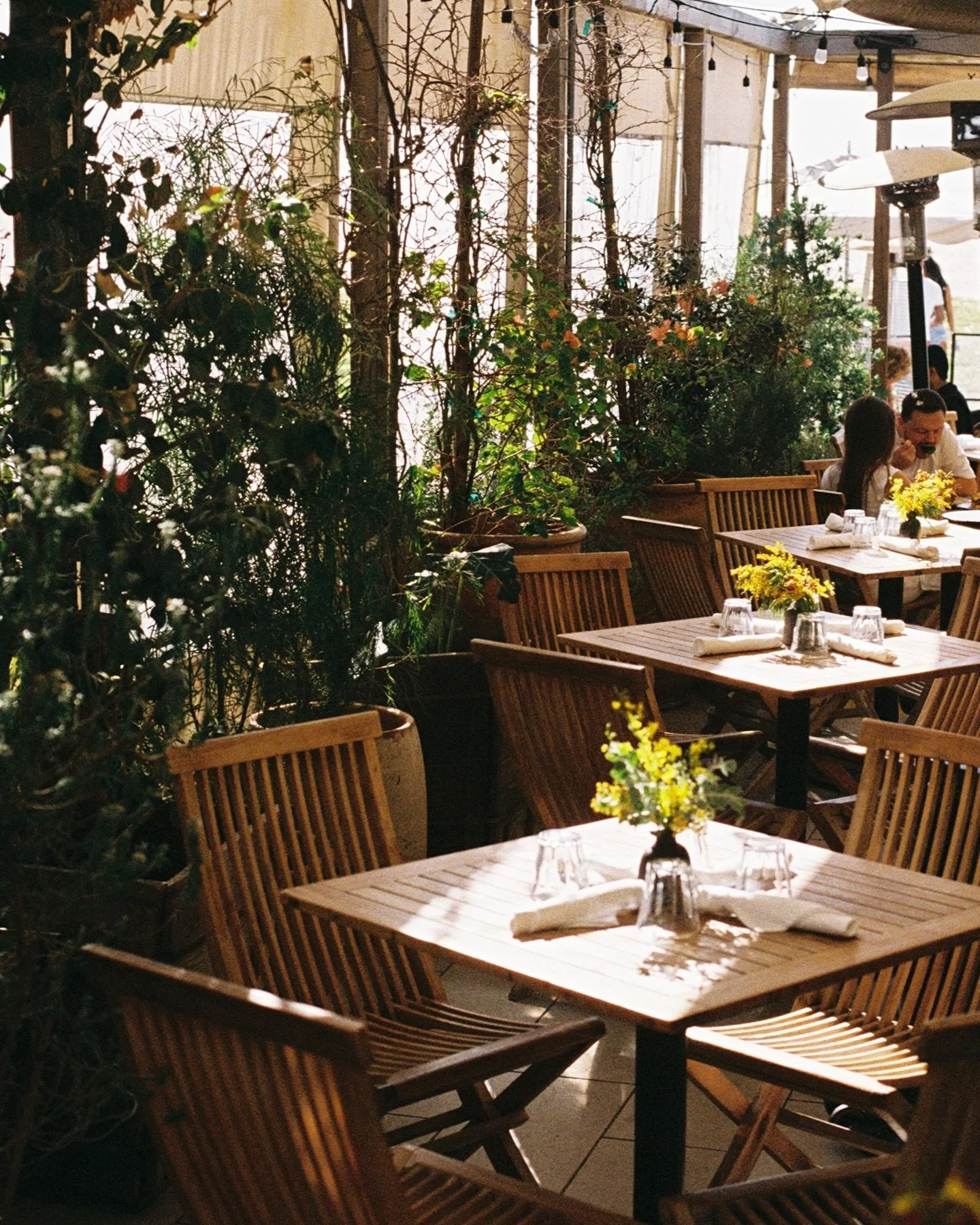 our patio when it catches the light ✨ Reservation link in bio