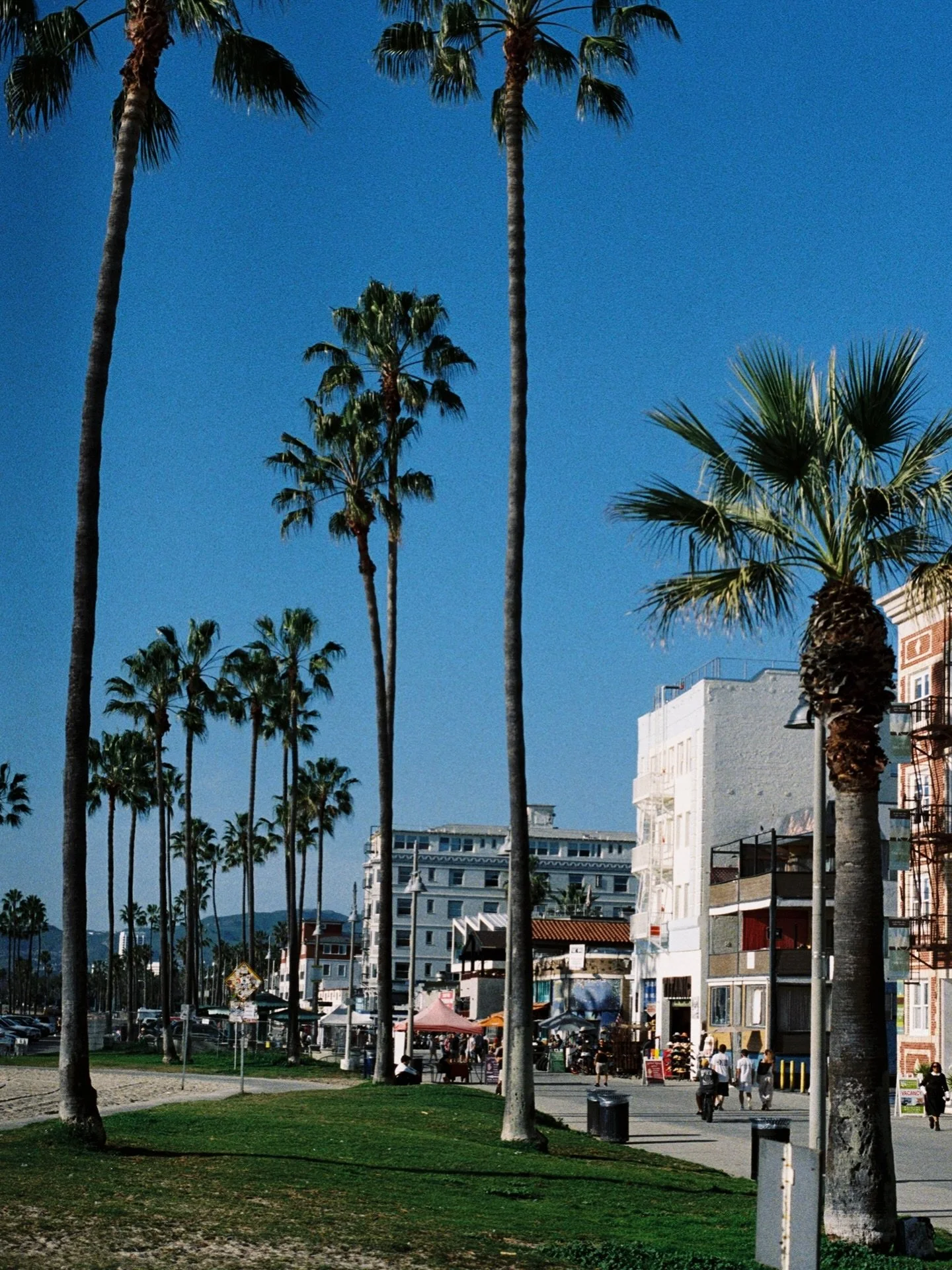 monday snapshot 🌴