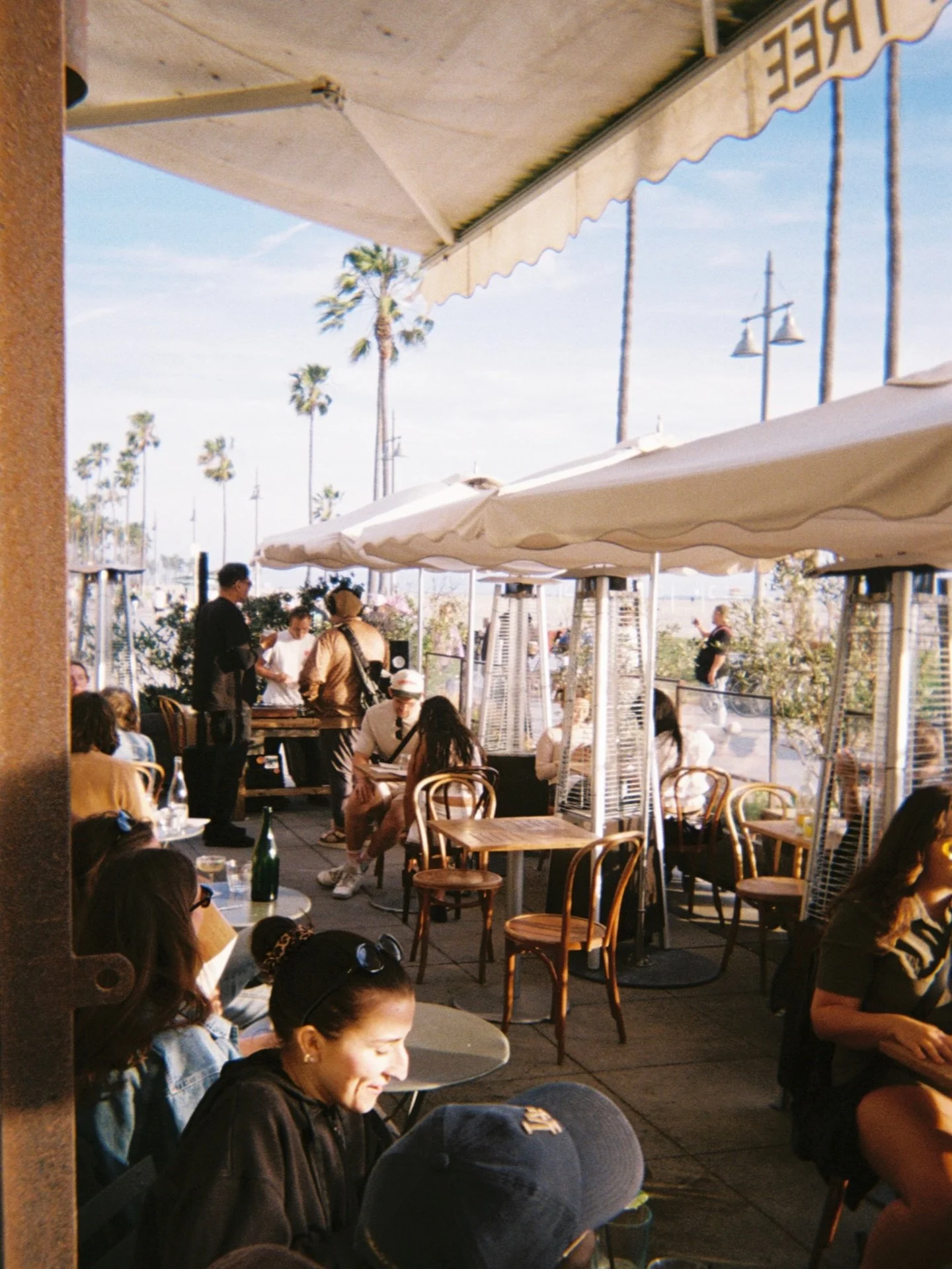 film from our wine night 🍷🌊🌅 thank you to everyone who came out &amp; poured a glass with us! 

@boboselections 
@venicebeachwineclub 
@tedward_ws 
@tedwardwest 
@analog_lito