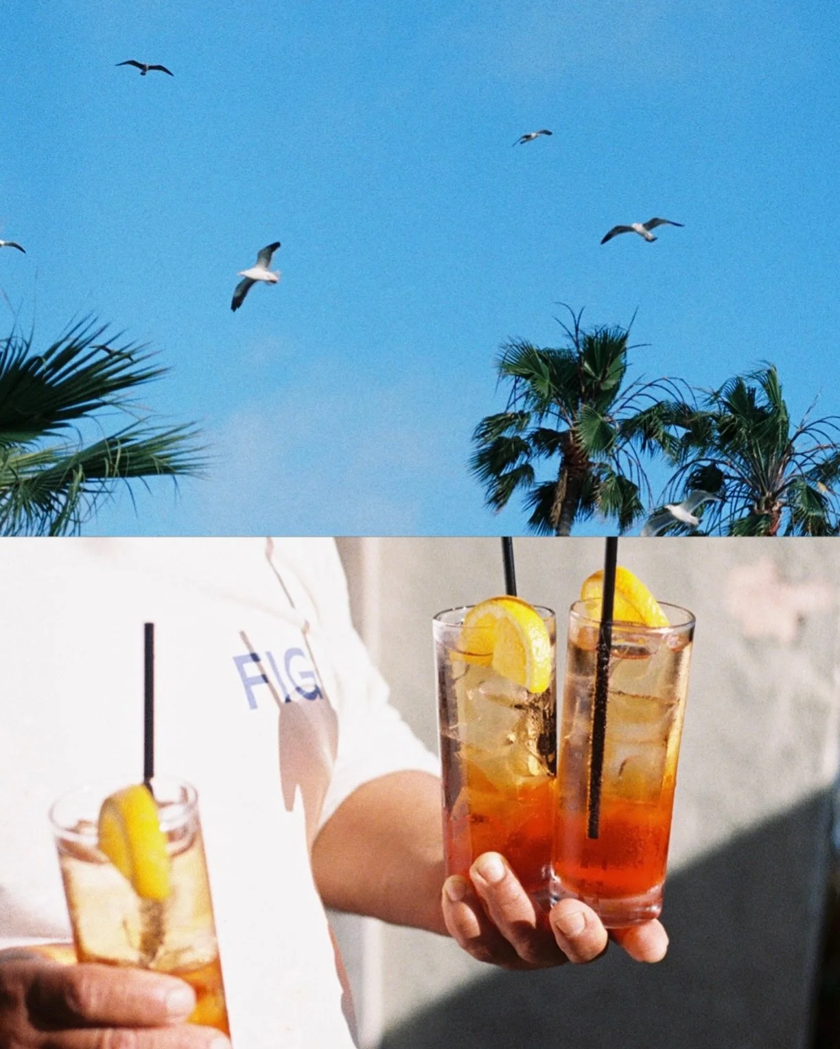 monday snapshots 🌴