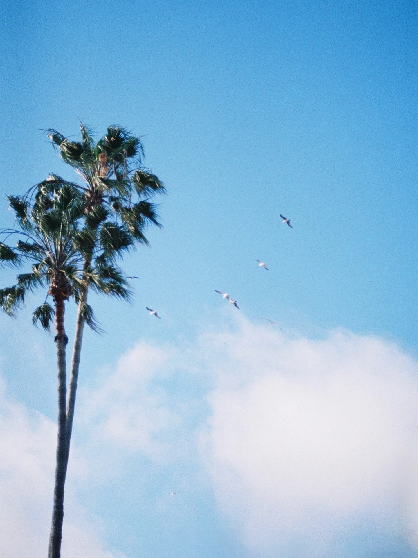 easing into the week 🌴