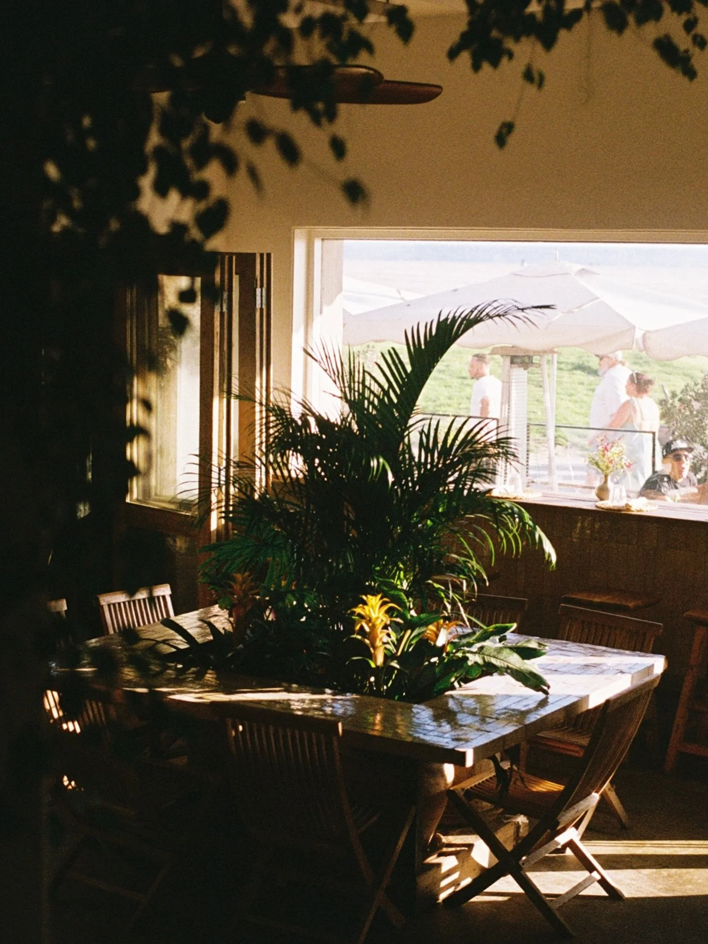 fresh start to the week🍃🌿🌱 come check out our new Plant Bar refresh by @isaisafloral
