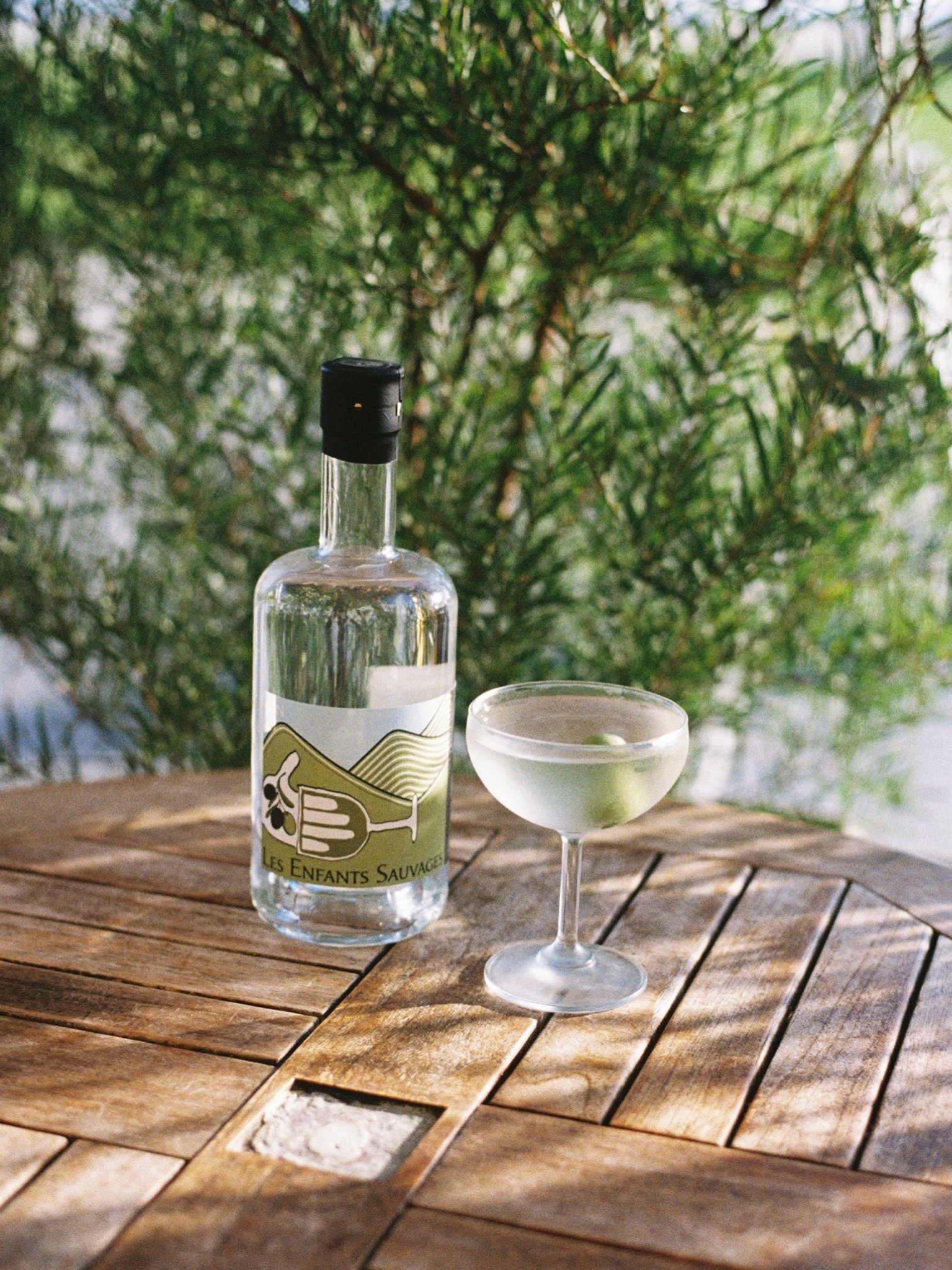 New gin. New martini. Perfect timing.

We&rsquo;re excited to introduce the new olive-infused gin from Domaine Les Enfants Sauvages. Crafted by Juri Bantlin and infused with six varieties of estate-grown olives, it&rsquo;s fresh, aromatic, and beauti