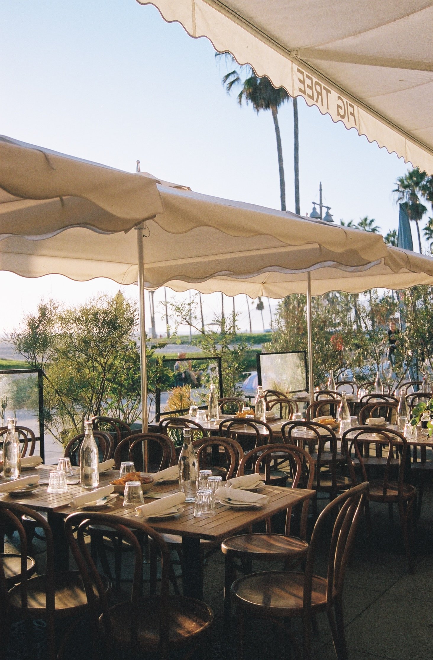 Beachfront Patio .jpg