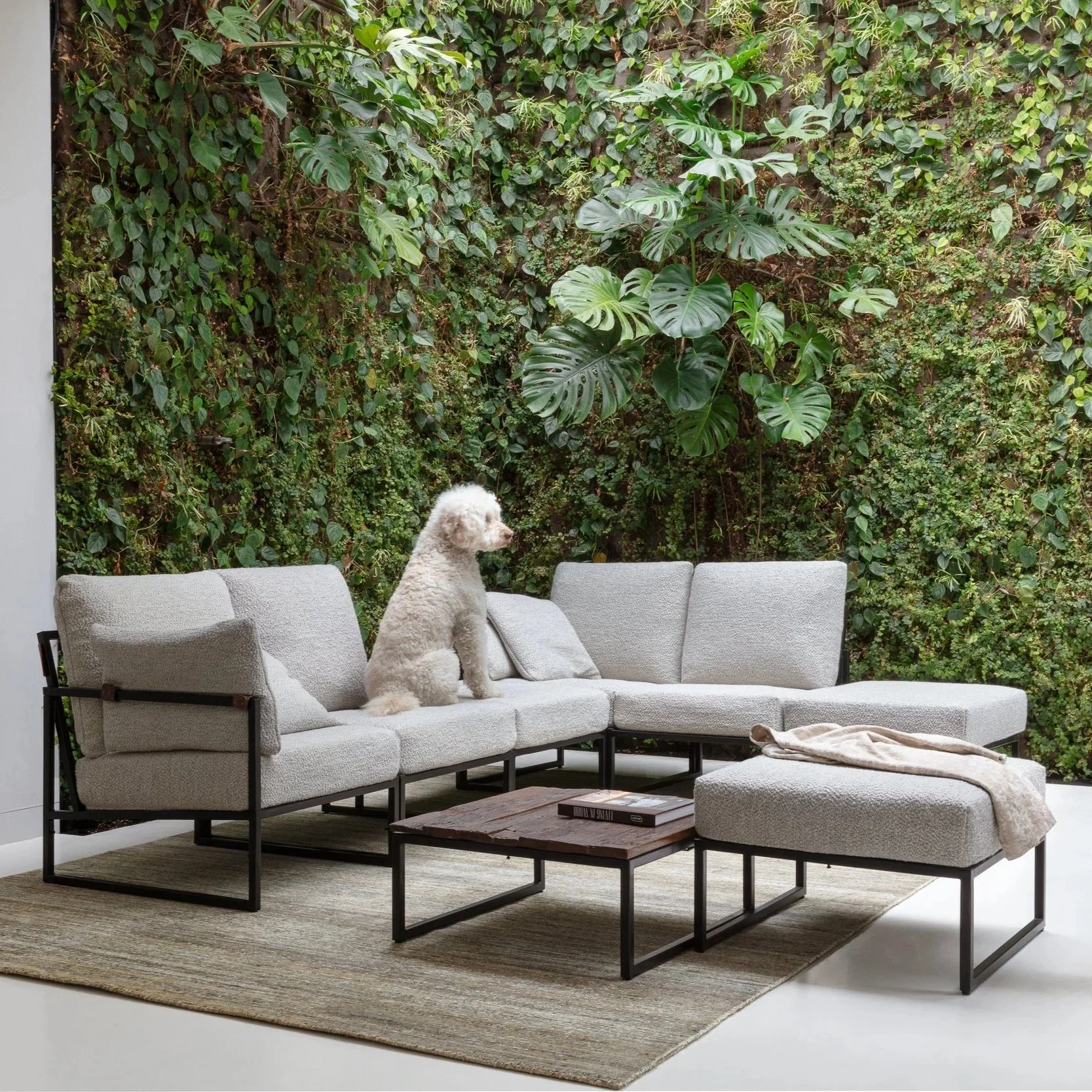 A white dog sitting on a light gray sectional sofa in a modern indoor setting with a lush green vertical garden wall behind it. The sofa has a beige cushion and a blanket draped over one ottoman. There is a wooden coffee table with a book on it, plac