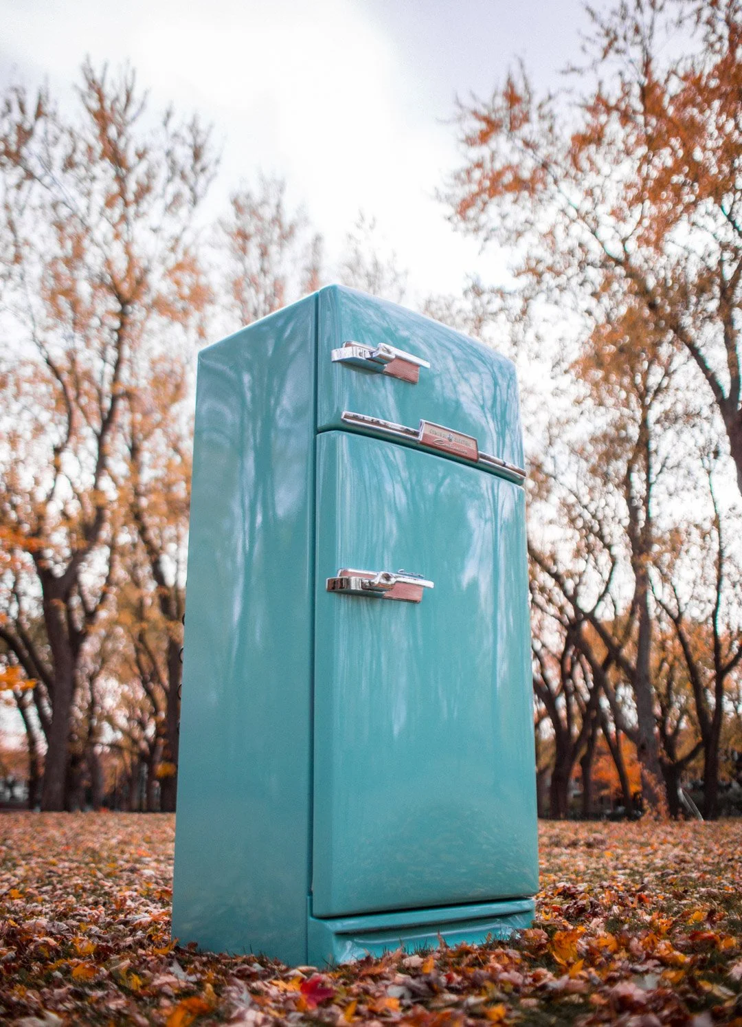 Antique Electro antique appliances_-64.jpg