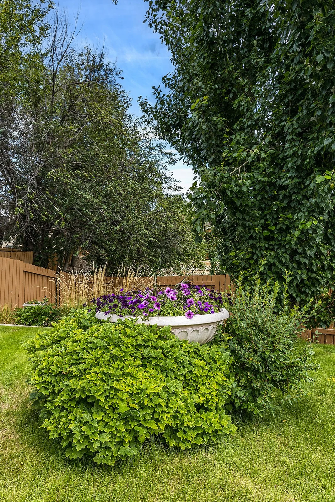 32 Ross Heights Ct SE-75.jpg