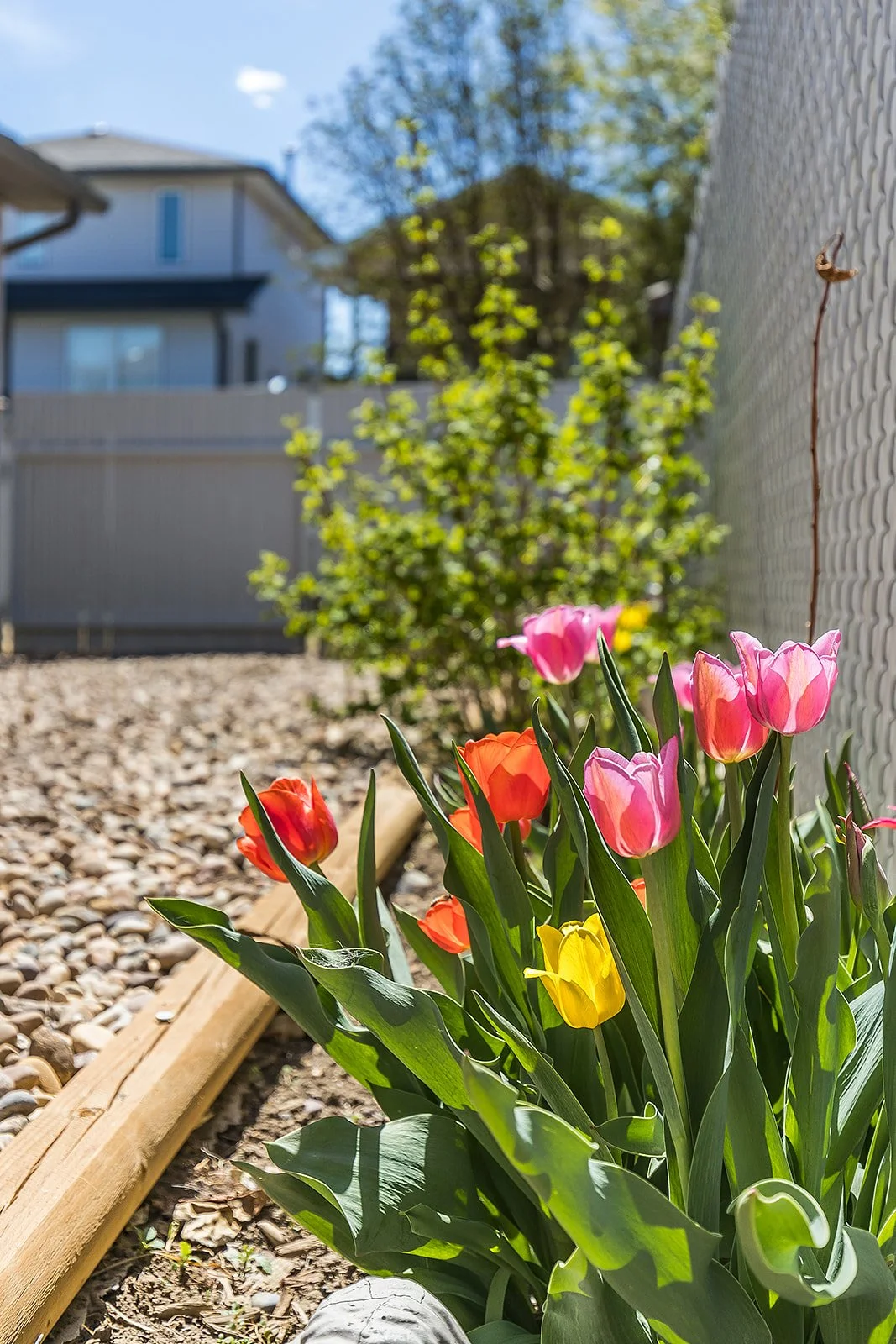 71 Sunset Cres SW-46.jpg