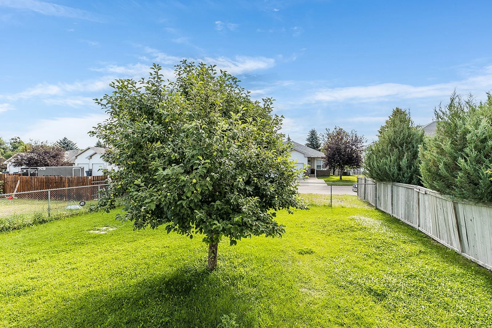 367 Woodman Ave SE-46.jpg