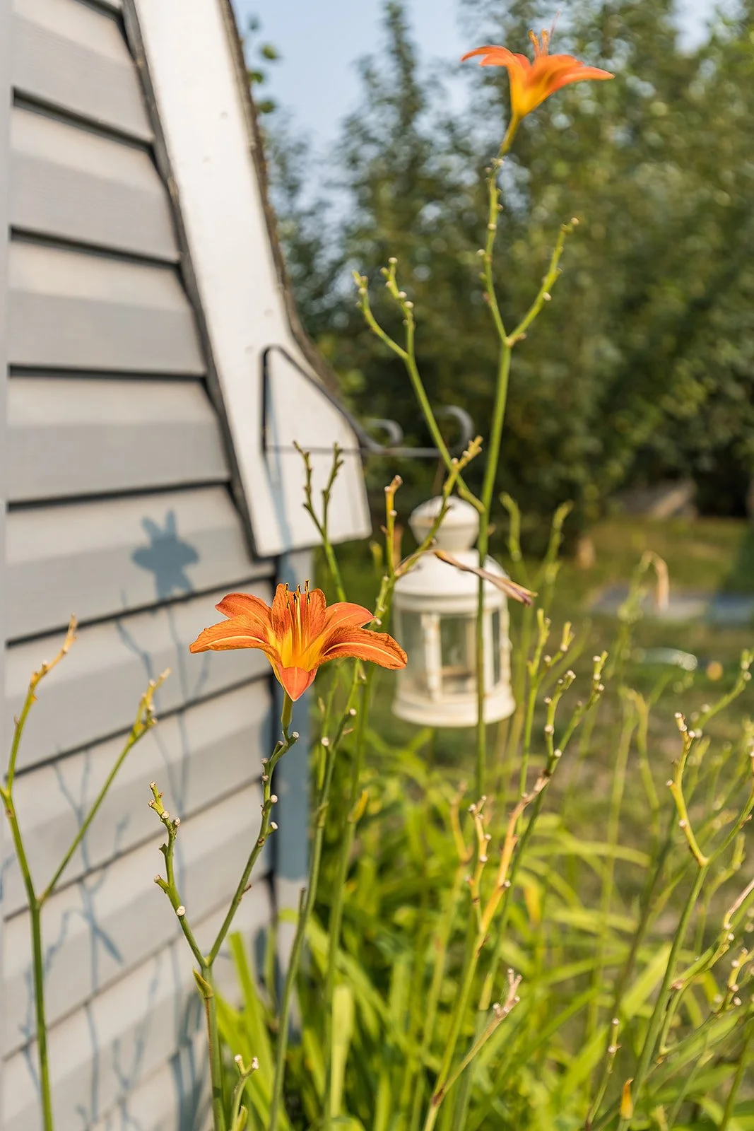 262 4000 13 Ave SE-44.jpg