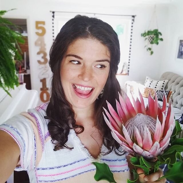 New favorite flower. Sorry gladiolas, you've been outranked!  I feel like a queen holding a sceptor!  This is the fabulous and aptly named: King Protea.  I've successfully preserved one once before and I'm excited to give it another go!
