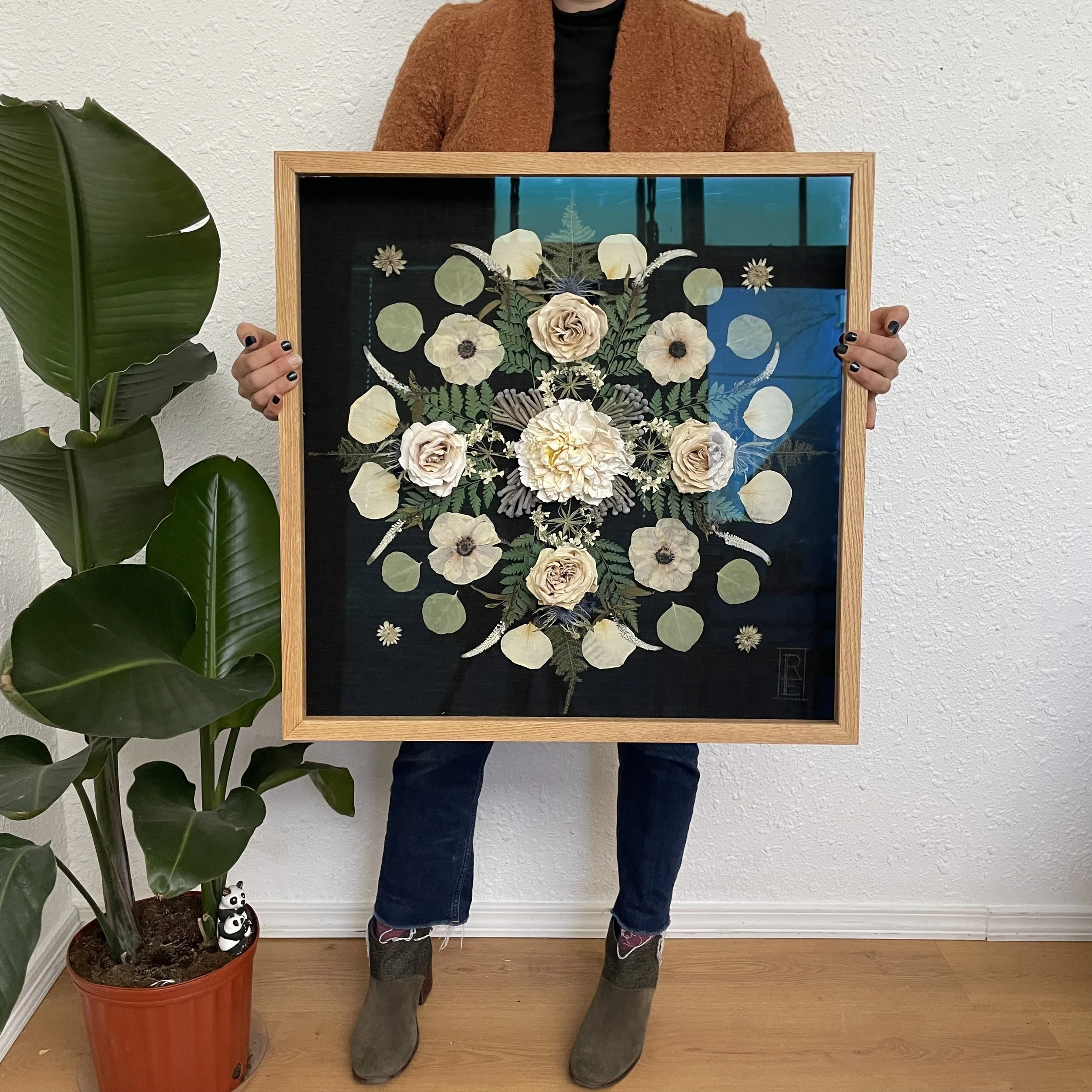 The Magic of Colorado Wildflowers: An Ode to Nature’s Palette