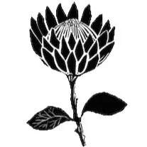 Untitled_Artwork 4.jpg