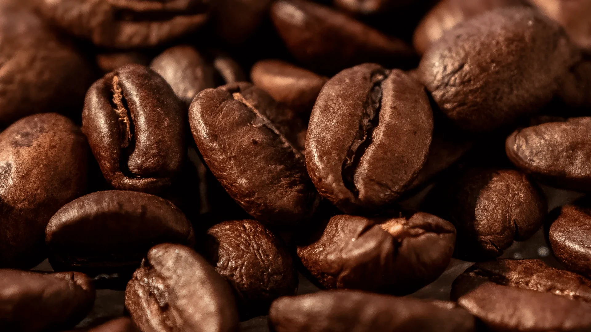 Coffee Bean