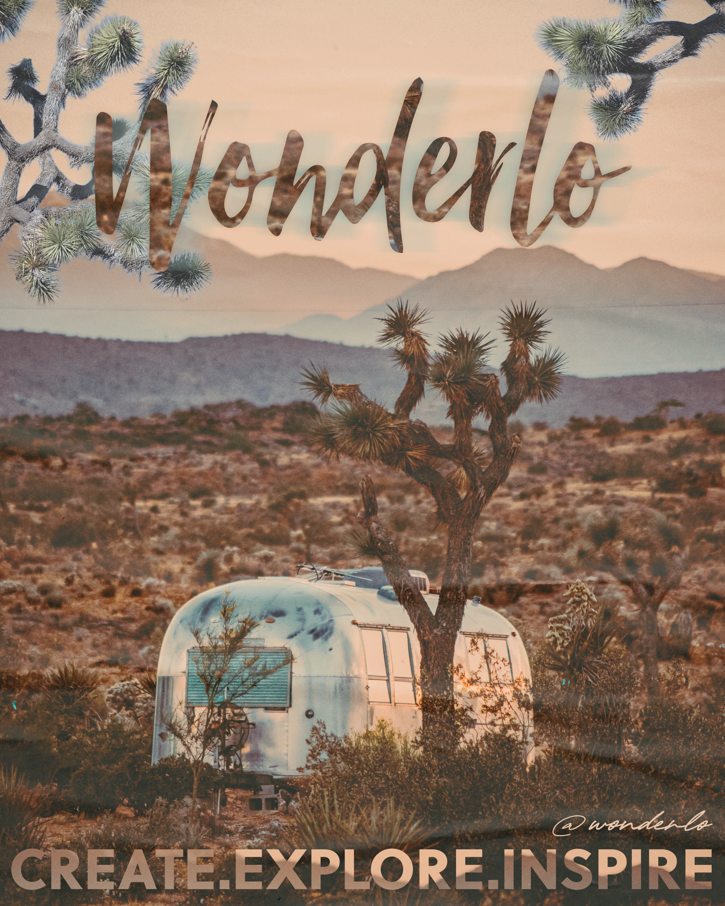 Wonderlo-2.png