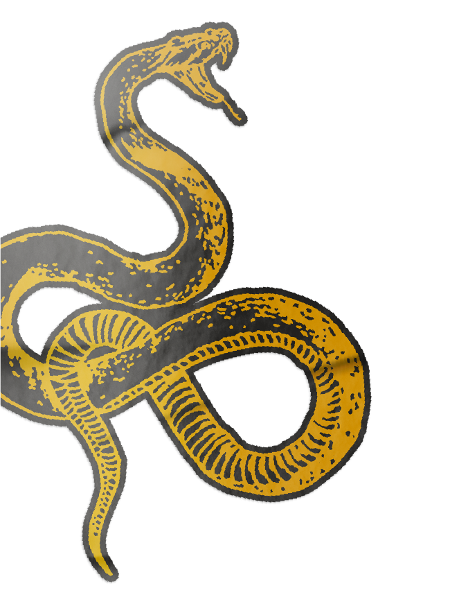 shop-merch-badlands-design-co