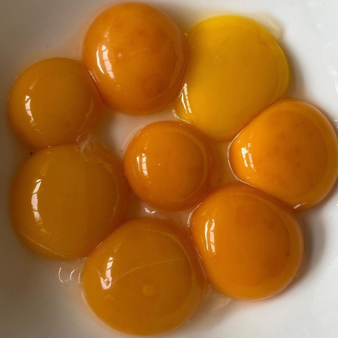 Fertility food! 

Eggs are one of the most incredible foods for fertility, pregnancy, and postpartum. In Ayurveda, it is encouraged to eat seeds because it &ldquo;takes seeds to make seeds&rdquo; and I think the same about eggs. 

My Holistic Womb We
