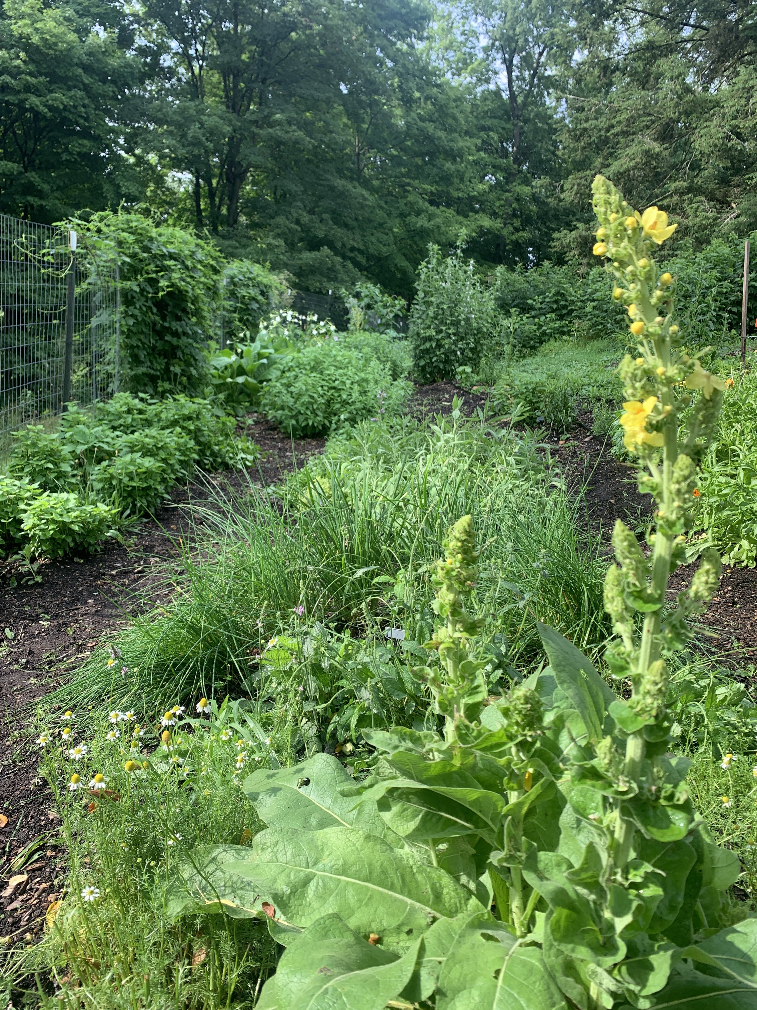 Meet the Gardeners