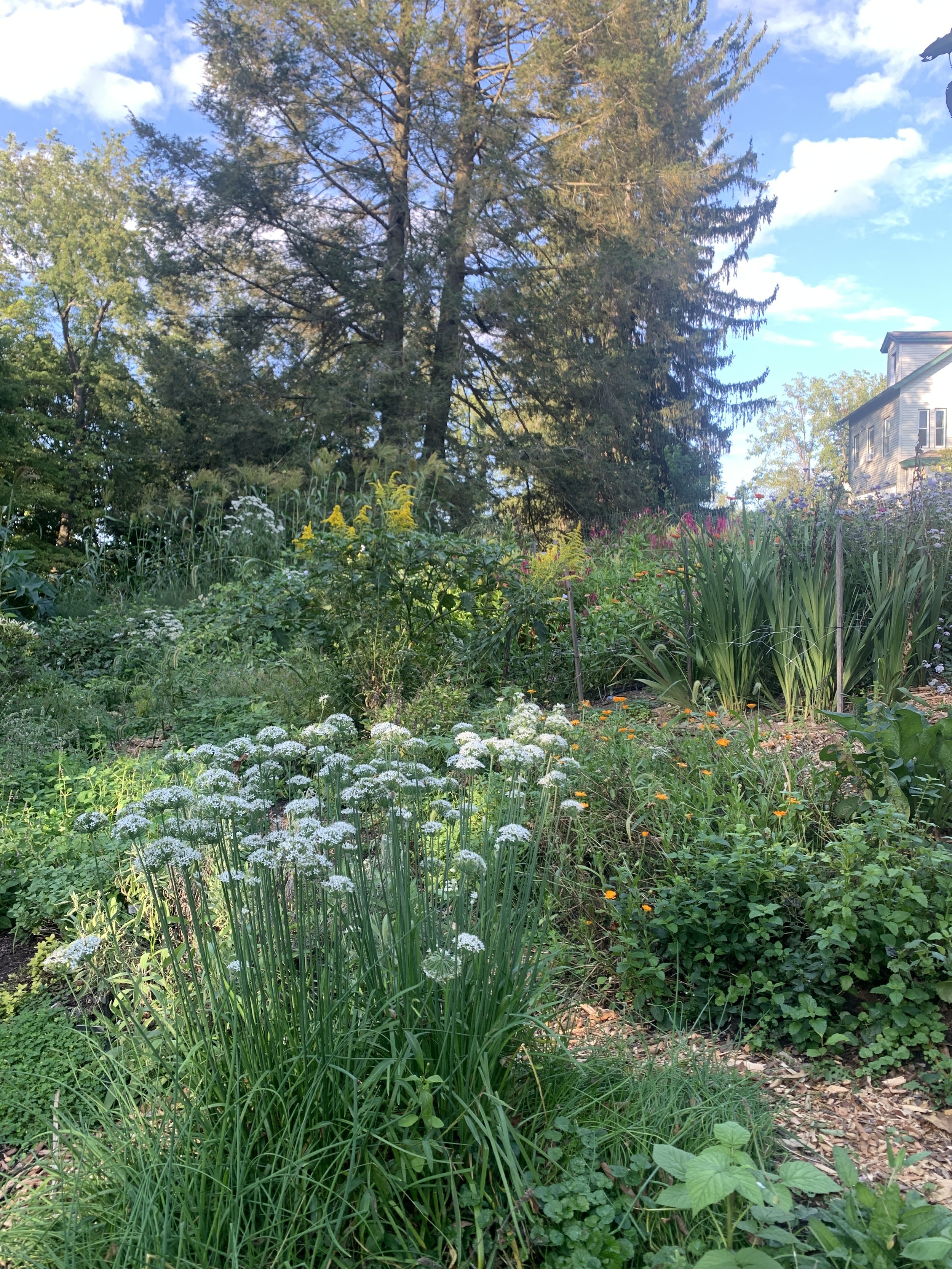 Garden Tuck In