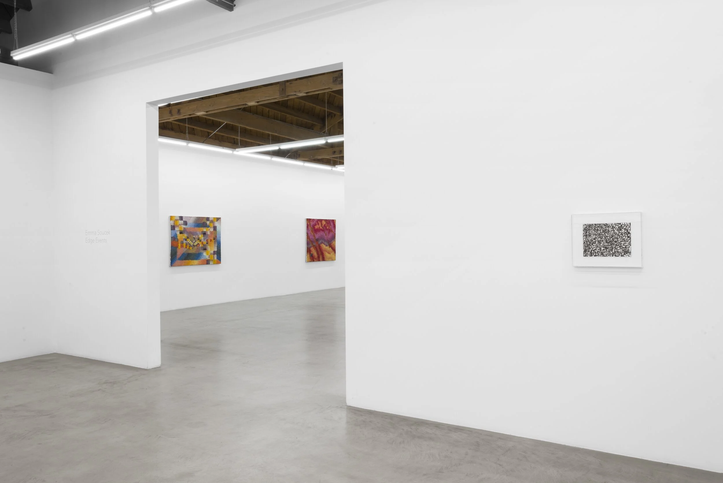 installation view of  Emma Soucek: Edge Events