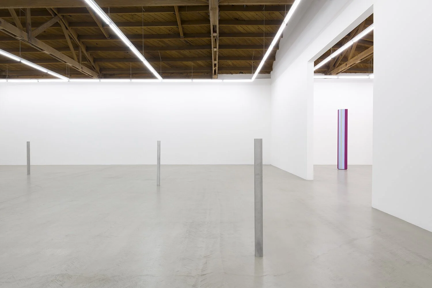 installation view of  Anne Truitt / Daniel Turner