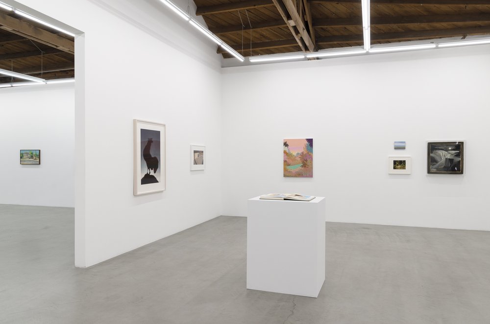  Installation view of  A Particular Kind of Heaven  at parrasch heijnen 