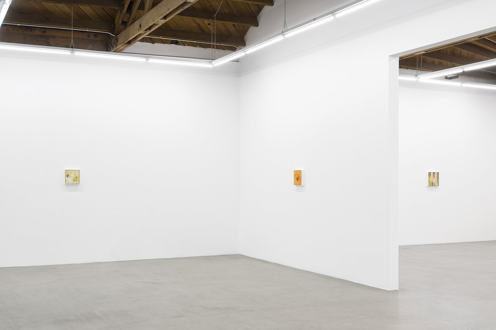  Installation view of  Ellen Siebers: dream song  at parrasch heijnen, Los Angeles 