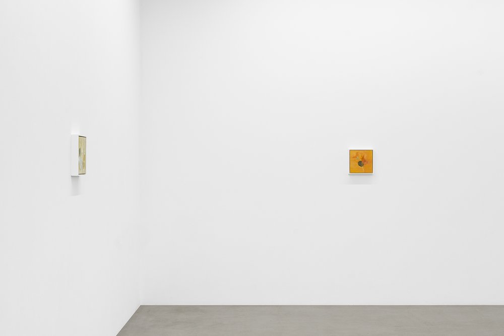  Installation view of  Ellen Siebers: dream song  at parrasch heijnen, Los Angeles 