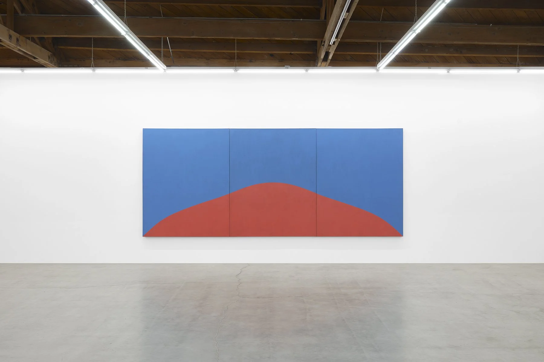 Marcia Hafif: Experience of Being