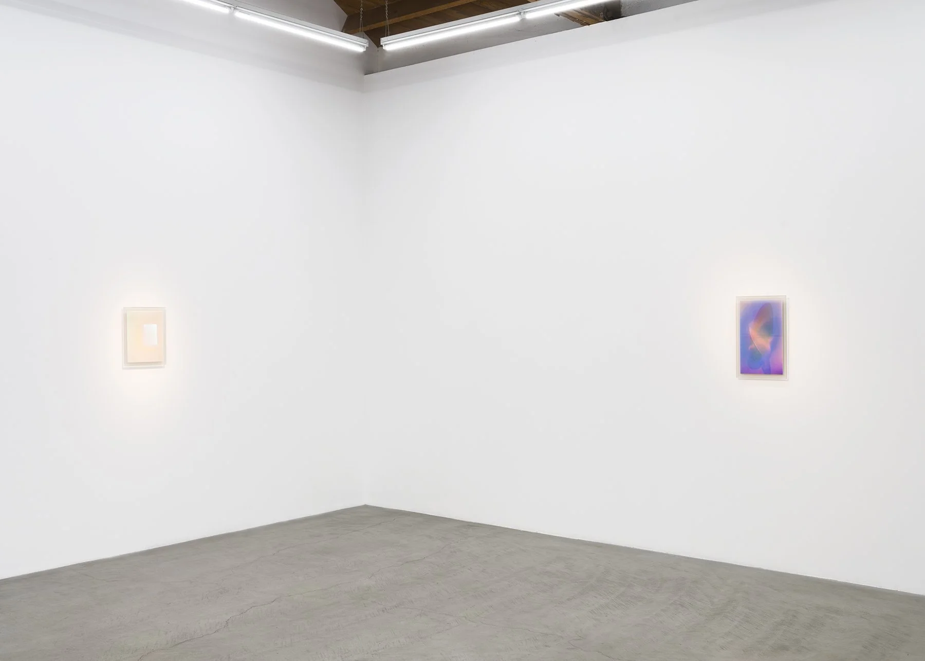   August Muth: Material Light.  parrasch heijnen, Los Angeles. May 16 - June 20, 2026. Installation image. Photography: Ed Mumford.  