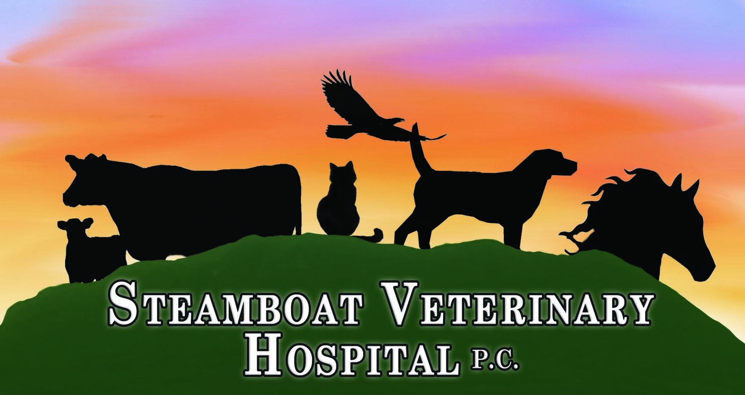 Steamboat Veterinary Hospital