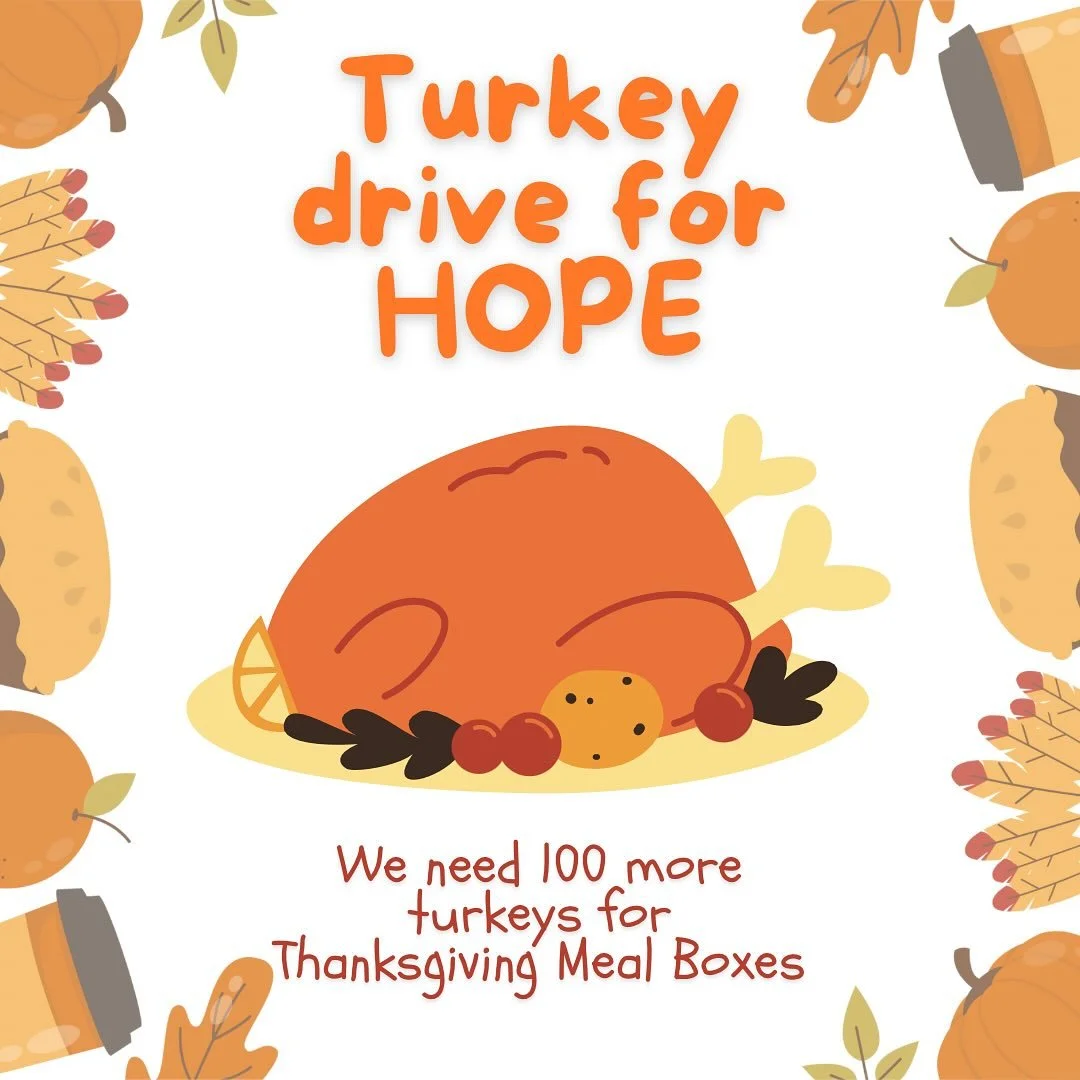 HOPE is having a TURKEY DRIVE this week! Our food shelf expects to provide at least 400 Holiday Meal Boxes this year. To meet the level of anticipated need, we need 100 more turkeys. Can you help? We are welcoming donations of frozen turkeys (12-14 p