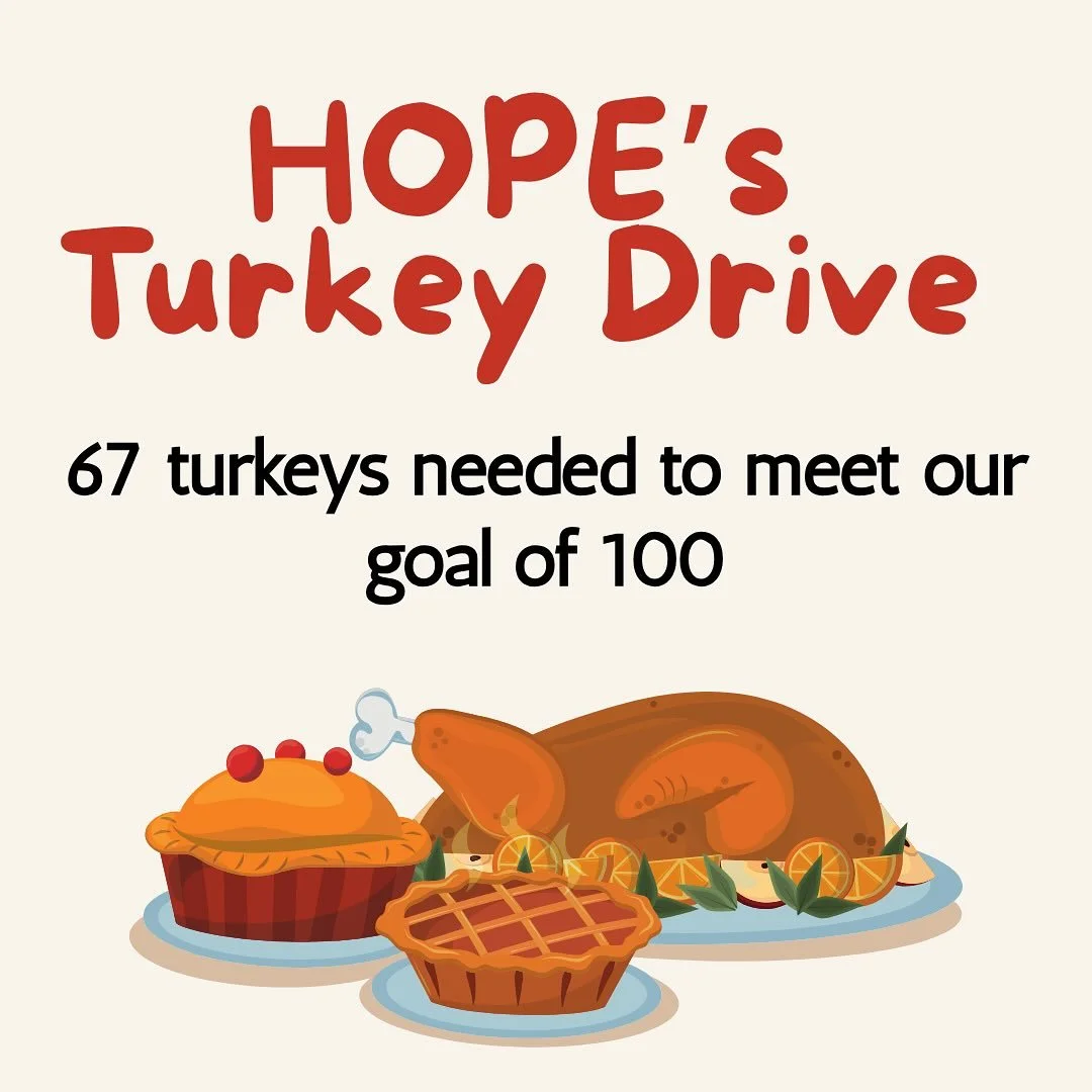 Help us meet our goal by the end of the week! Frozen turkeys (12-14 lbs) can be delivered to HOPE, 282 Boardman Street today and tomorrow, 9-4, or to our resale store on Saturday from 10-12. Thank you for any help you can provide!