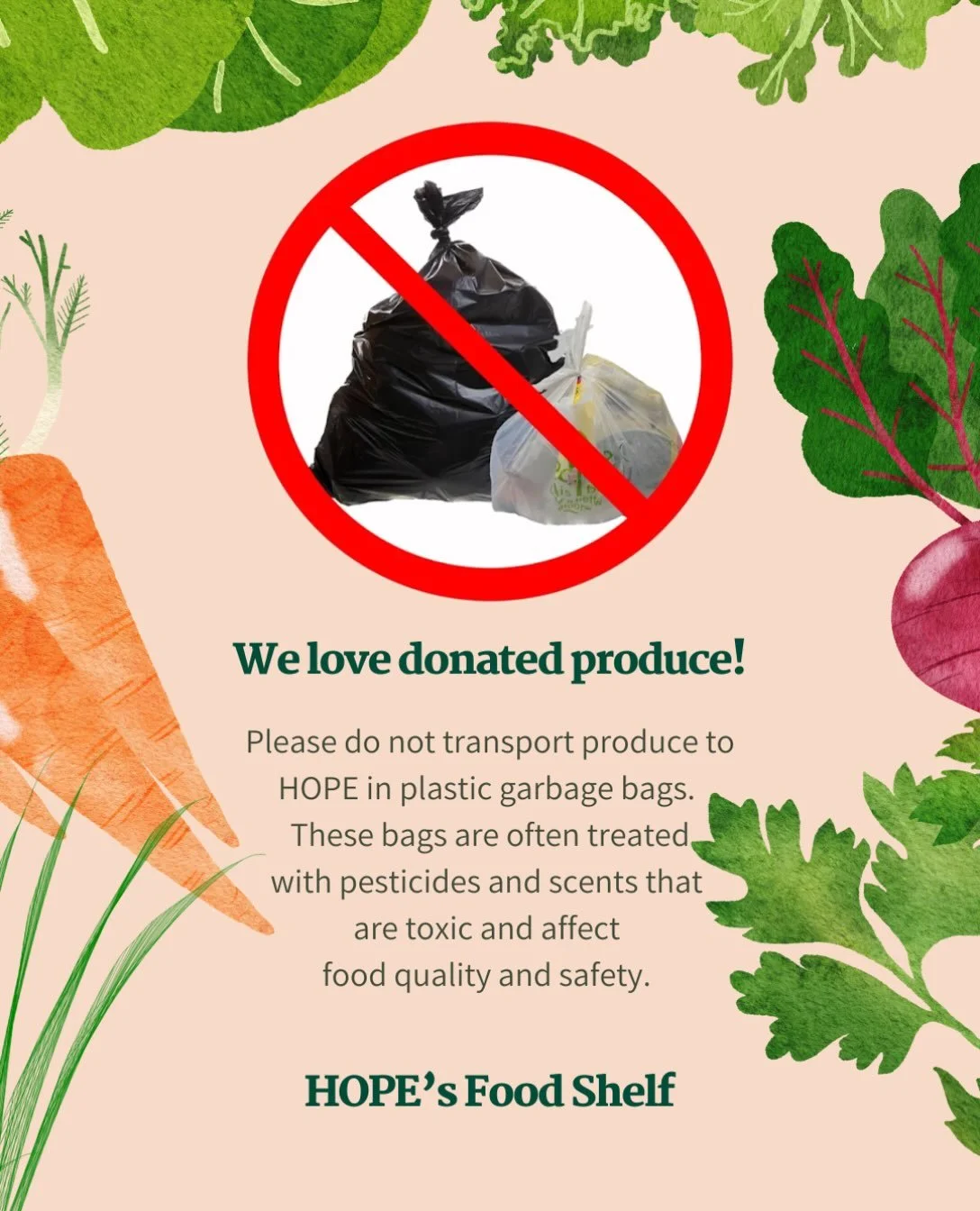 Please note that HOPE is no longer able to accept donated produce that is brought to us in kitchen or black garbage bags. We have learned that these bags are often treated with pesticides and chemical scents that compromise food safety. We welcome an