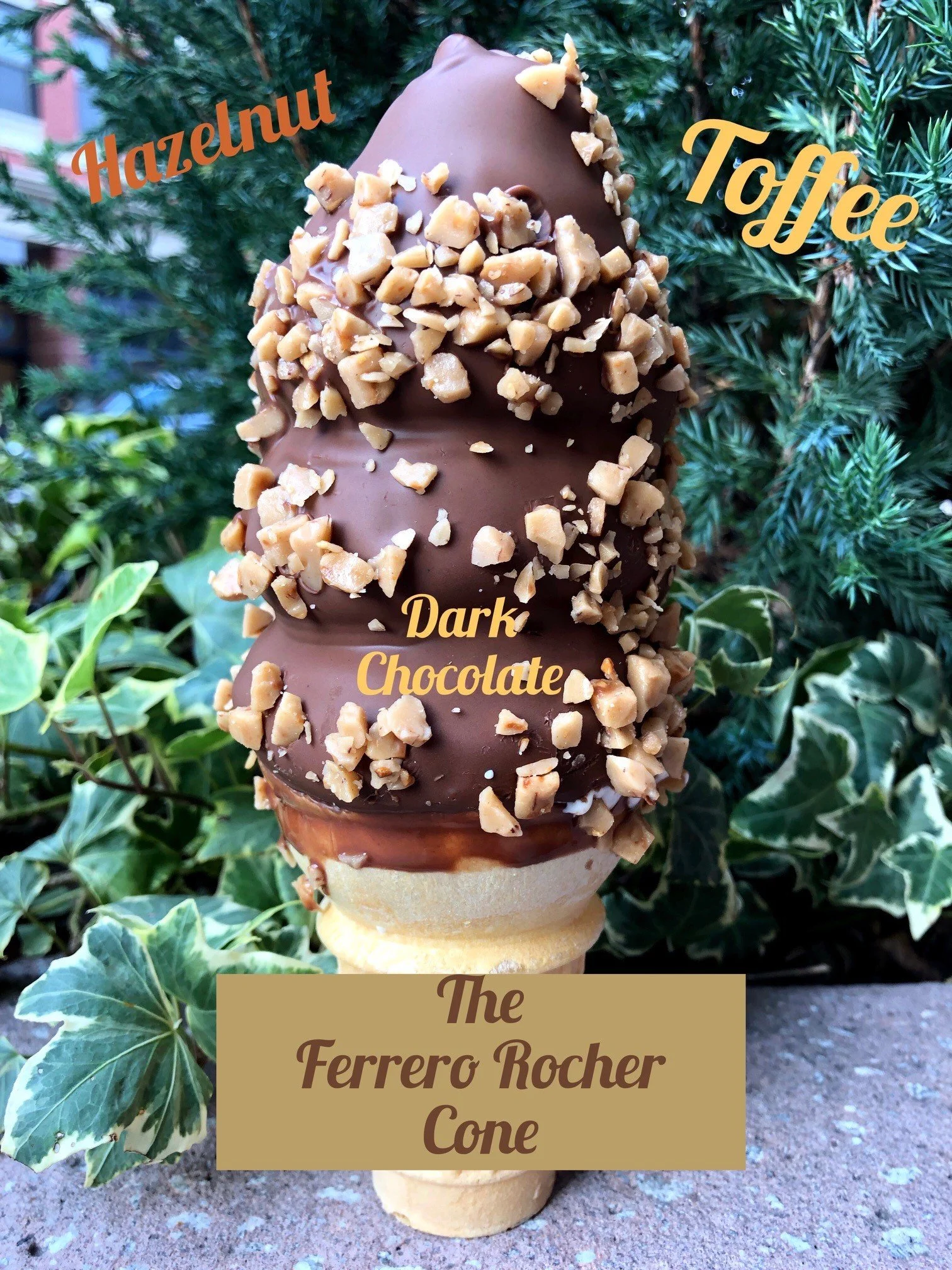 What's on our Cone? — Simons Says Dip This