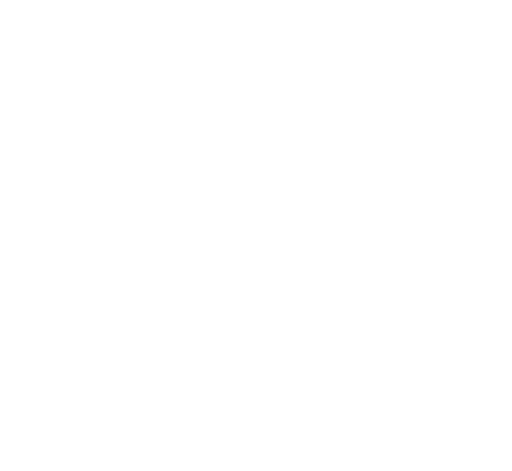 Dreyfus Consulting Group