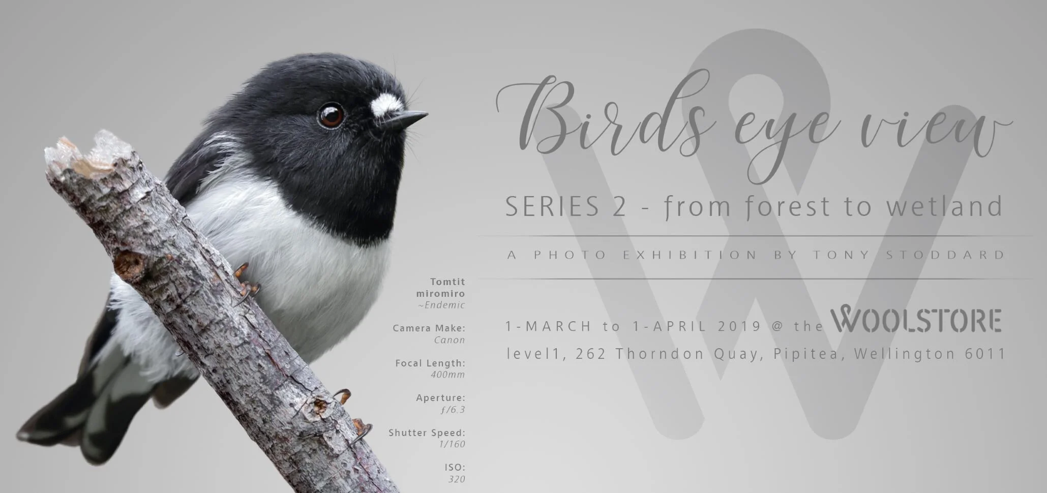 from forest to wetland