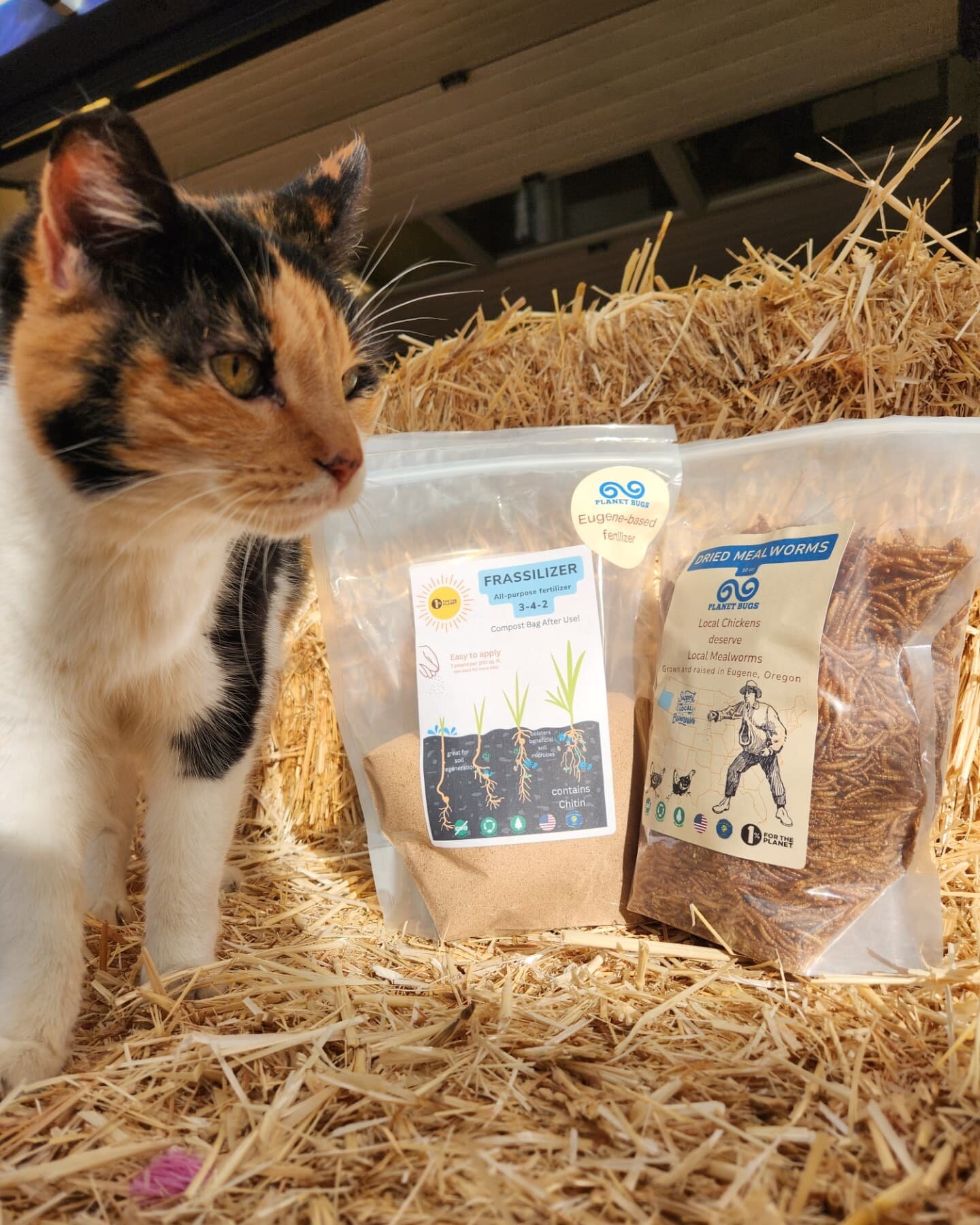 We have two exciting new local products from Planet Bugs! Chicken approved dried mealworms and Frassilizer, which is an all-purpose plant based fertilizer!