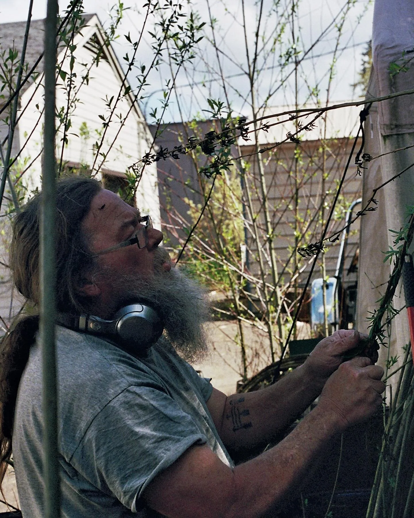 When it comes to propagation, sometimes more is more! Thats the story of willow according to Monty Moore, our resident salix shaman and our parking lot&rsquo;s bench &amp; garden bed crafter! 🌿

Moore, through his Willow Conservacy, hopes to harness