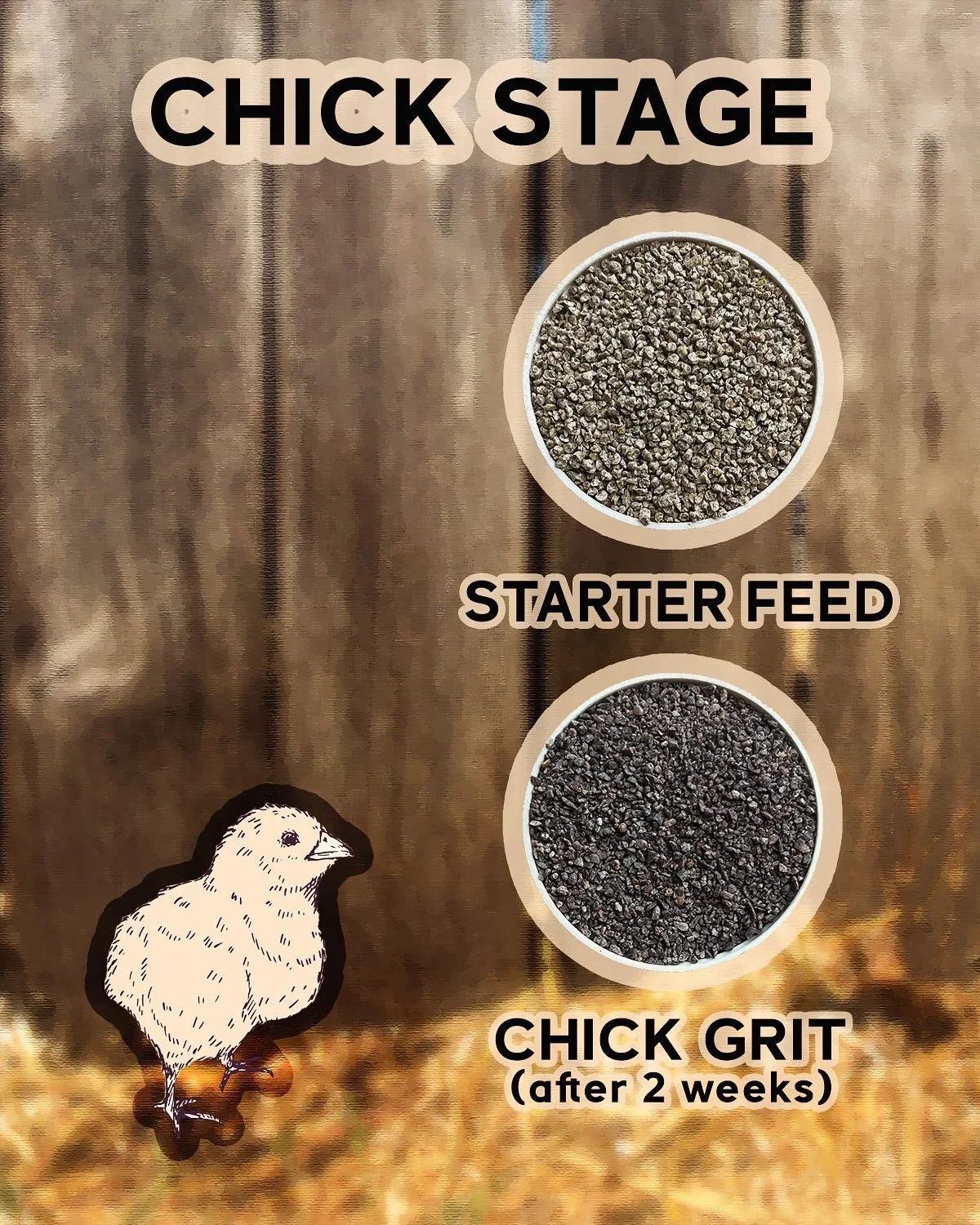 If you bought chicks this spring, likelihood is you&rsquo;ve already switched from starter to grower feed&hellip; and coming up, soon you&rsquo;ll be making the jump from grower to layer. 

But what&rsquo;s the real difference between all these feeds