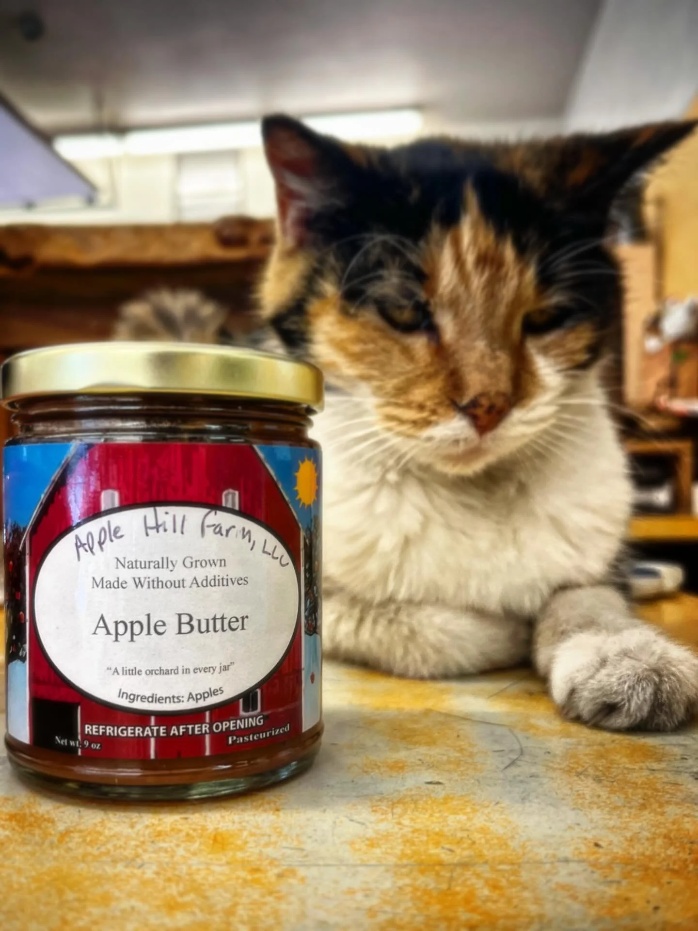 Not often do you find a product with one ingredient, but how do you like them Apples? 🍎🍏🍎

New on our shelves! Apple Hill Farm in Cheshire sure can churn out some delicious apple butter&mdash; try it yourself as a scrumptious organic side for panc