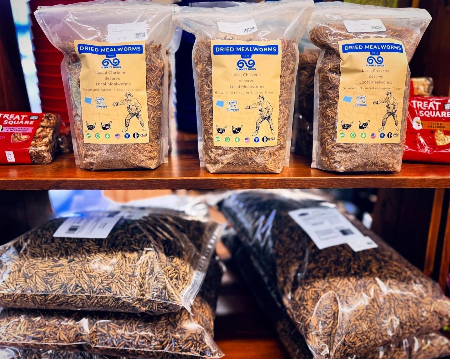 Is your brood ready to chick or treat ๐ฌ? 
Especially during the colder months, your winged ones will appreciate some spooky scrumptiousness from our selection of mealworms & grubs. ๐ชฑ๐
Also… they could make a good item for those touch