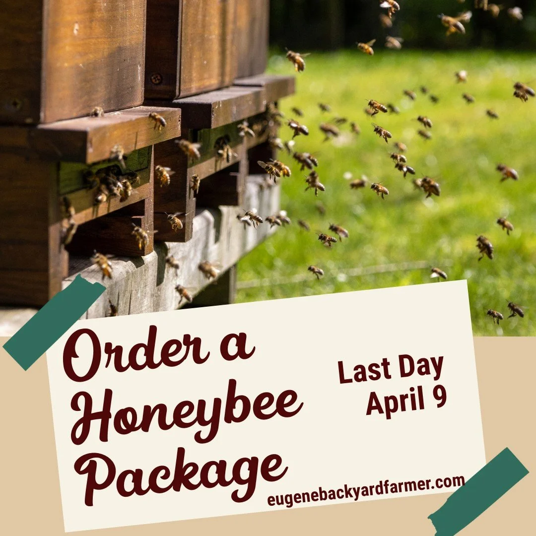 Last call for bee packages! $180 with $100 deposit.  Order by April 9, pick up at the store on Saturday, April 18.  Call with questions (541) 485-3276 or come in and see us.  #honeybee #pollinators