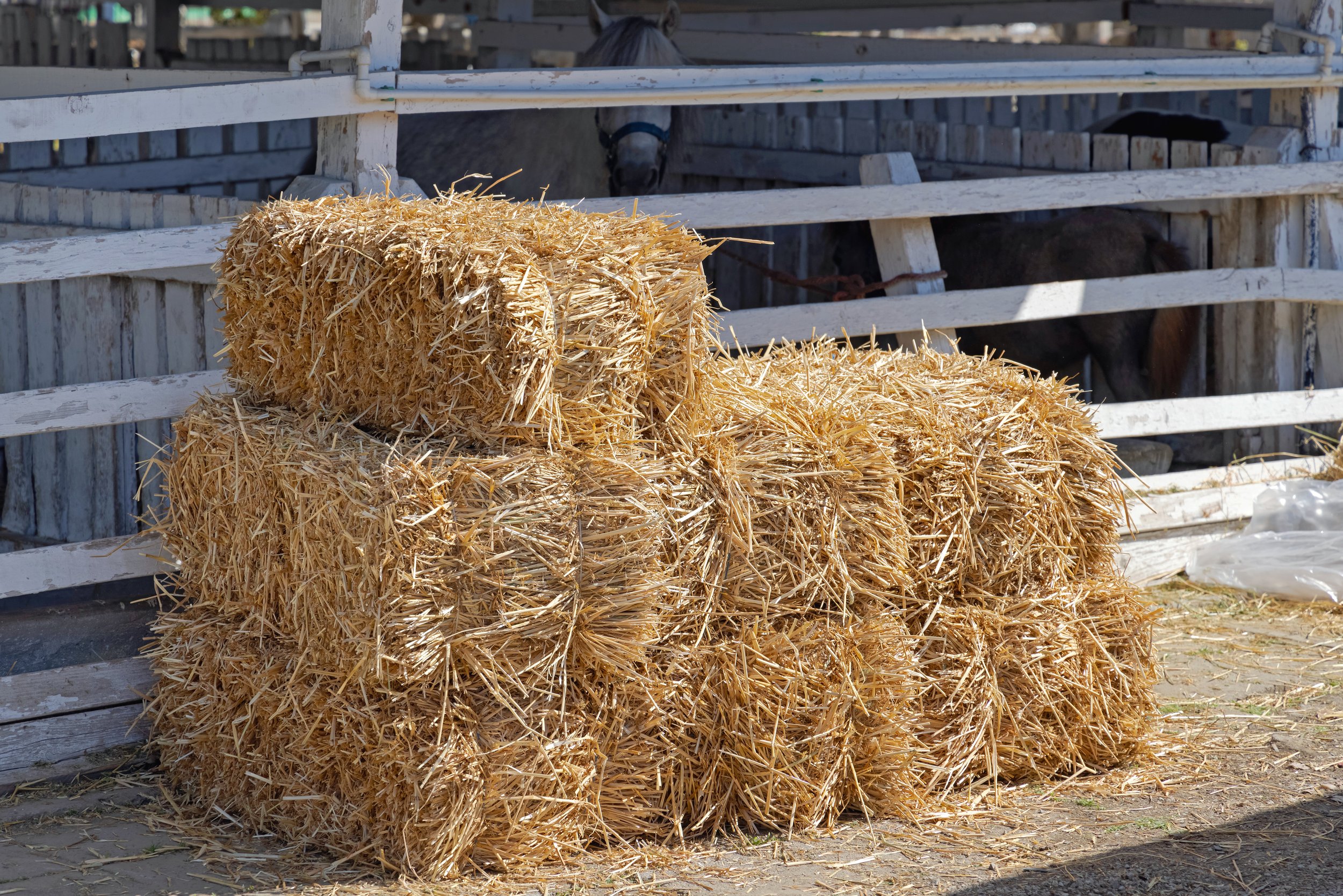 Hay, Straw and Bedding — Eugene Backyard Farmer