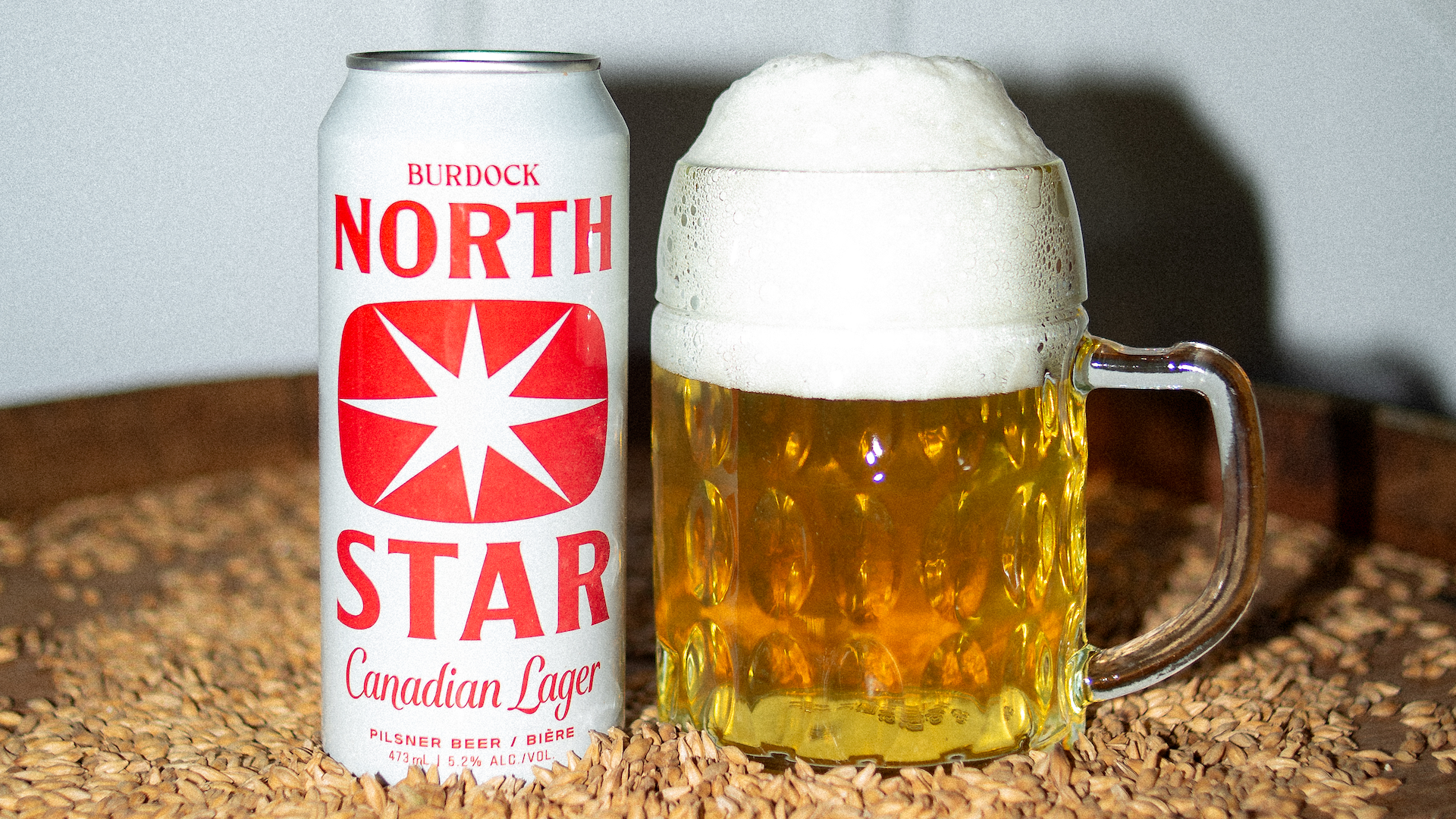 North_Star_hero_1.png